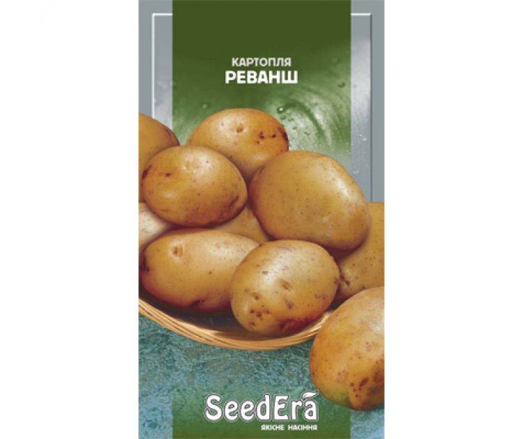 Один из самых привлекательных на отечественном рынке сортов картофеля — краса: описание и отзывы