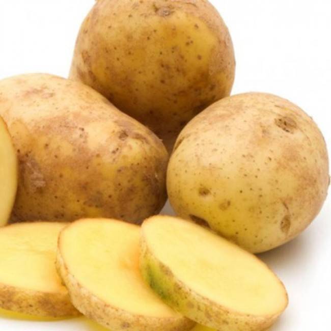 Картофель сорт гулливер: характеристика и основные правила выращивания
