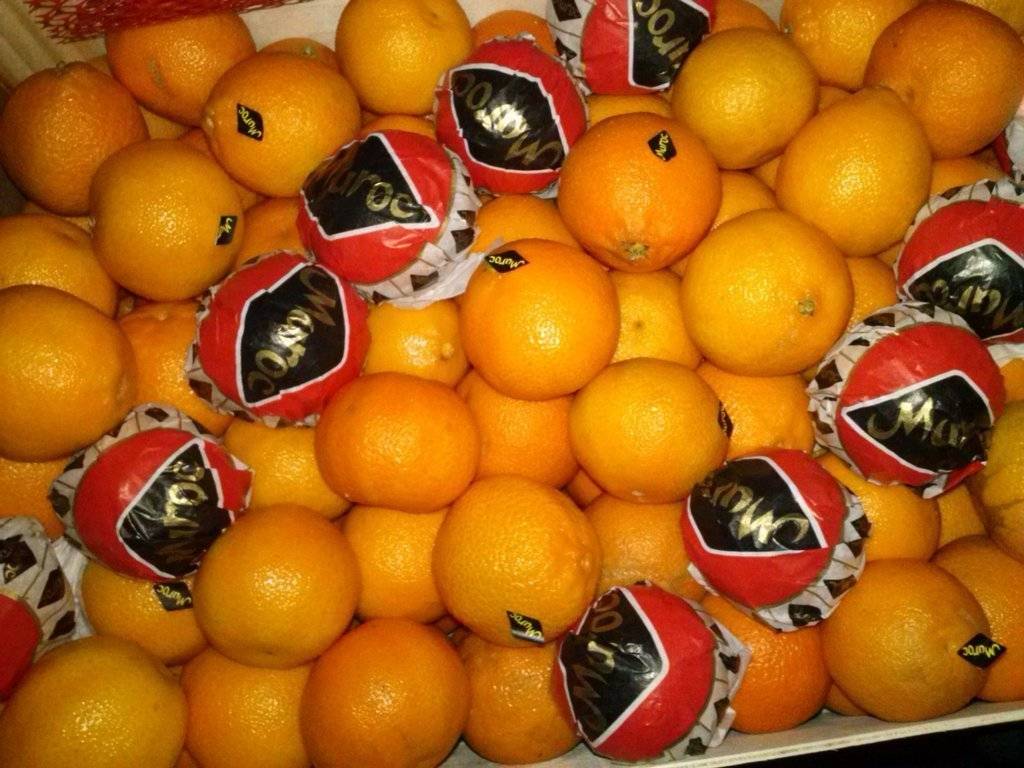 Сезон мандаринов в марокко - с огорода