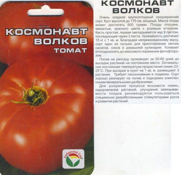 Сорт помидоров космонавт волков: урожайный, крупноплодный, вкусный