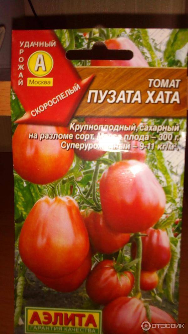 Пузата хата помидоры описание сорта отзывы садоводов. Семена томат Пузата хата. Сорт помидор Пузата хата. Семена помидор Пузата хата.