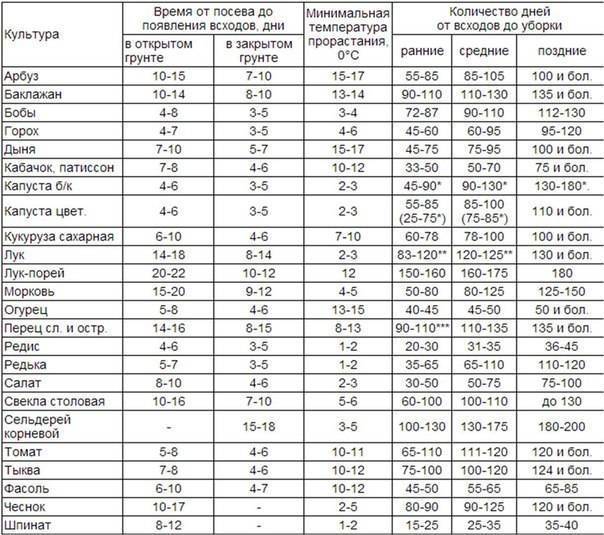 Как быстро прорастить семена огурцов для посадки в домашних условиях