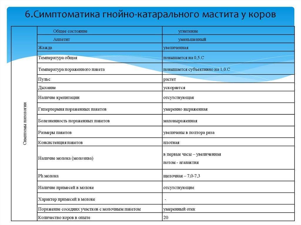 Схема лечения серозного мастита у коровы