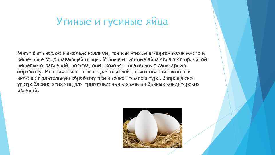 Чем полезно пить яйца. Утиные и гусиные яйца. Яйца водоплавающих птиц.