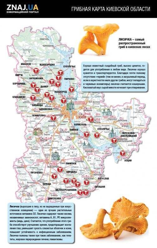 Карта грибных мест волгоградской области