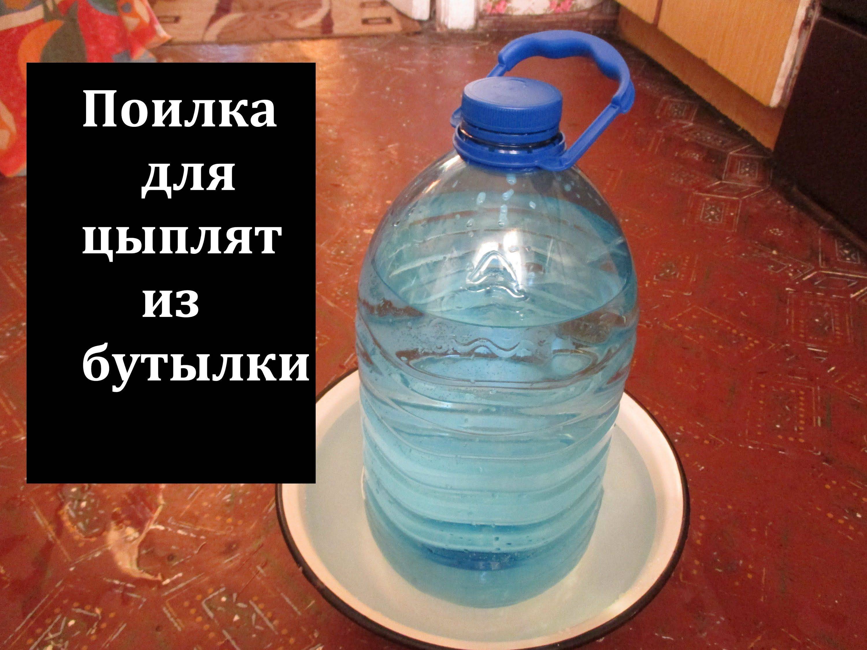 Поилка для кур своими руками - оригинальные фото идеи из пластиковых бутылок, труб, канистры