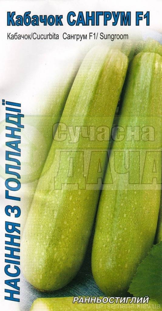 Кабачок «искандер» f1: описание сорта и опыт выращивания гибрида