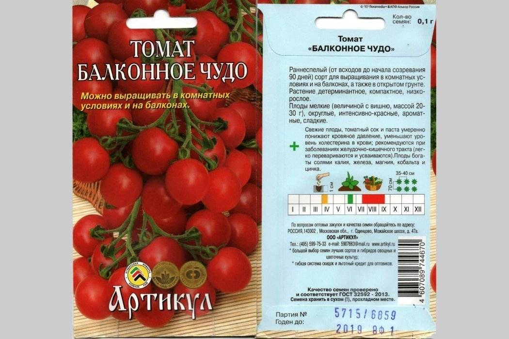 Томат Балконное чудо с плодами — выращивание дома