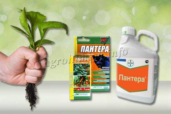 Описание и инструкция по применению гербицида