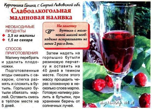 Калиновая настойка в домашних условиях. домашняя калиновая настойка на водке, спирте или самогоне