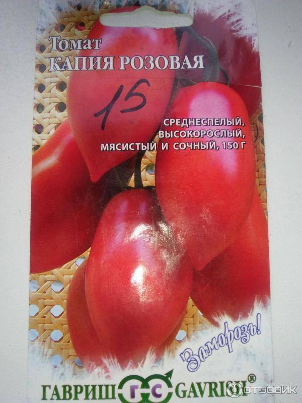 Томат капия розовая: характеристика и урожайность сорта, отзывы огородников со стажем и фото полученного ими урожая