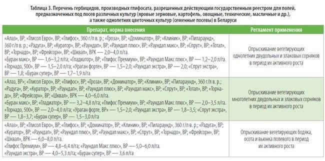 Факел экстра ::