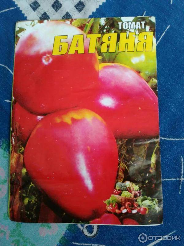 Лидер среди лучших — томат «батяня»: характеристика и описание сорта, фото