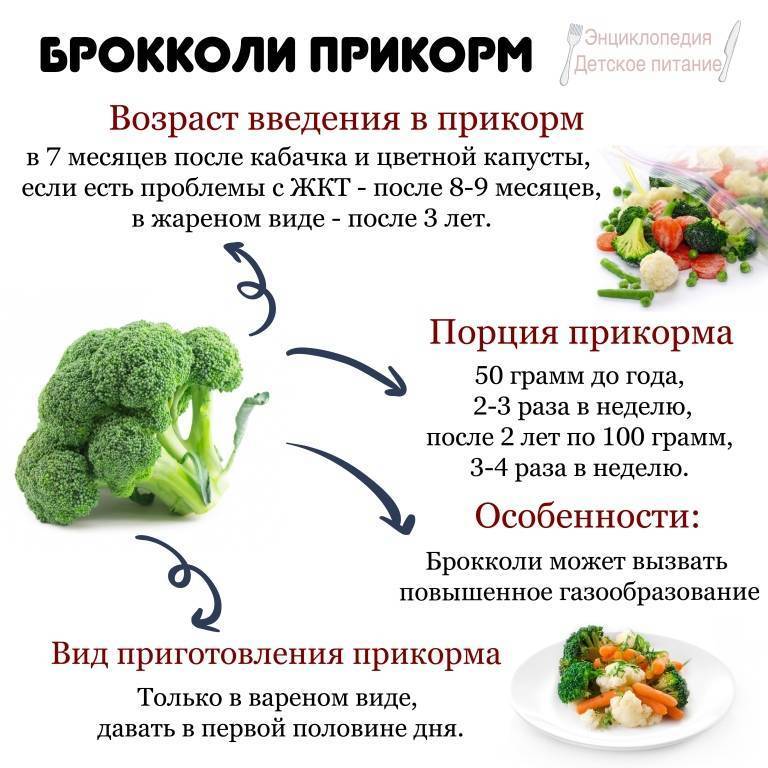 Прикорм для грудного ребенка: какие продукты можно, особенности прикорма