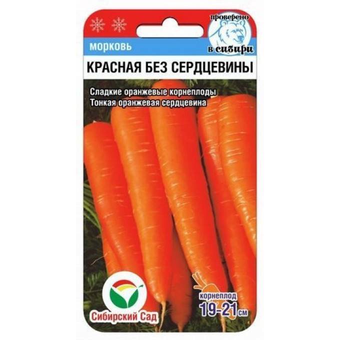 Лучшие сорта моркови для хранения
