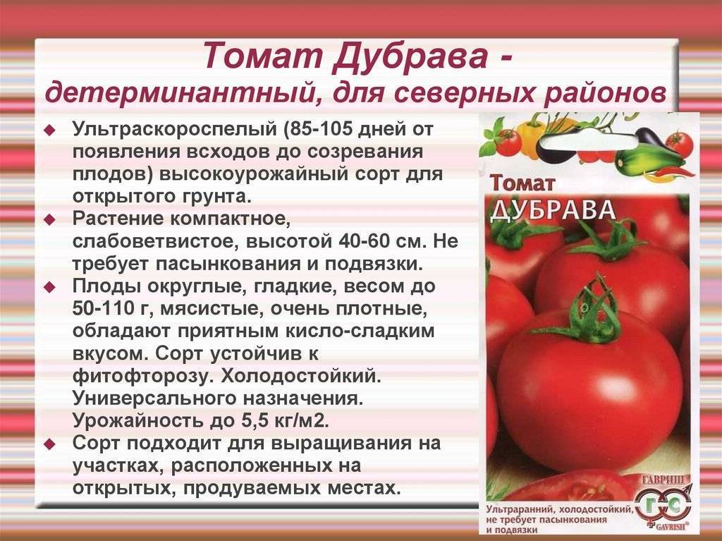 Сорт томата гаспачо отзывы фото